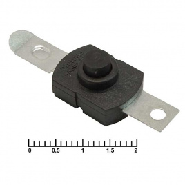 Кнопочный переключатель RUICHI PBS101C395, 1.5 A, 250 В, ON-OFF