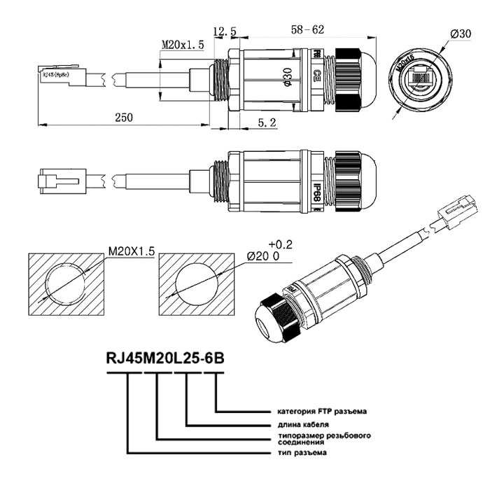 Разъём герметичный Ruichi RJ45M20L25-6B фото 2