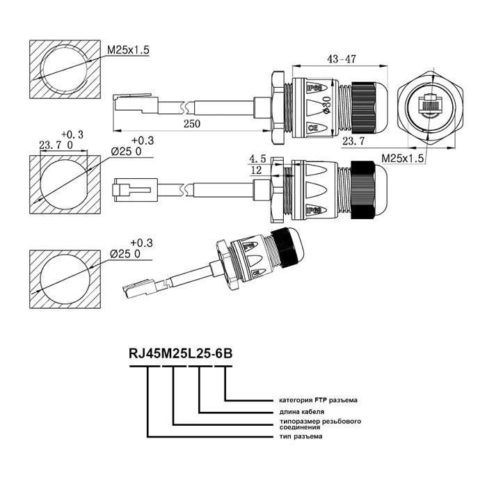 Разъём герметичный RUICHI RJ45M25L25-6B фото 2