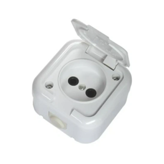 Розетка РА16-236  1-ая с крышкой IP44 белая о/у Светоприбор фото 1